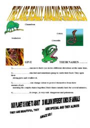 English Worksheet: amazing creatures