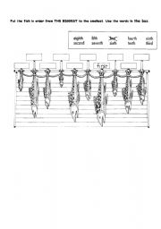 Ordinal Numbers