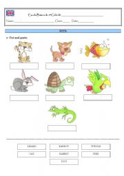 English Worksheet: PETS