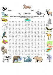 English Worksheet: Animal Wordsearch