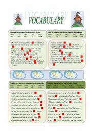 English Worksheet: Everyday vocabulary