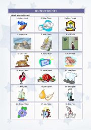 English Worksheet: HOMOPHONES