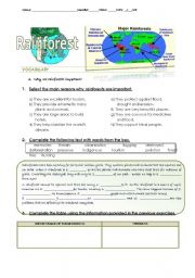 English Worksheet: Rainforest