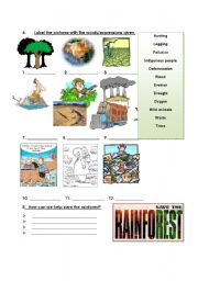 English Worksheet: Rainforest