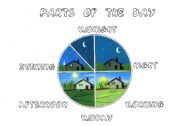 English Worksheet: parts of the day