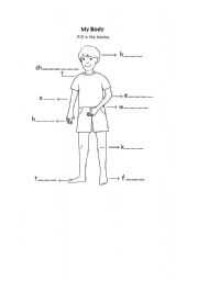 English worksheet: The Body