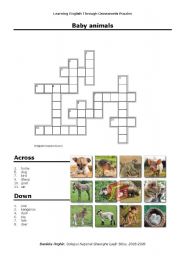 Baby Animals Crosswords Puzzle