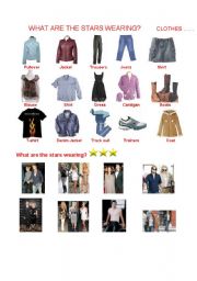 English Worksheet: WHAT ARE THE STARS WEARING? CLOTHES