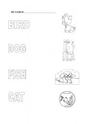 English worksheet: Animals