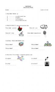 English worksheet: test for yong children singular and plural