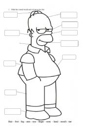 English Worksheet: Homer Simpson body.
