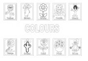 English Worksheet: Colours