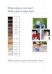 English worksheet: What colour is your hair?