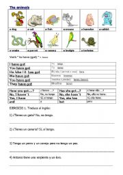 English Worksheet: animals. I have got 