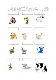 English worksheet: Animals