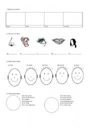 English worksheet: THE HEAD