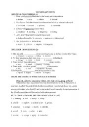 English worksheet: vocabulary test