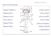 English Worksheet: My Body