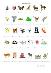 English Worksheet: animal quiz