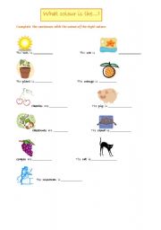 English worksheet: Colours