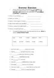 English worksheet: Grammar Exercises