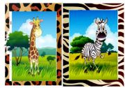 Flashcards Wild Animals 1/2 