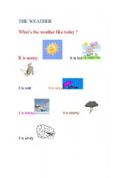 English worksheet: WEATHER AND SEASONS