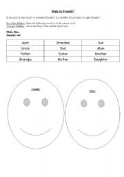 English worksheet: Male or female