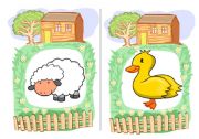 Farm Animals flashcards 1