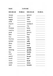 English Worksheet: plural 