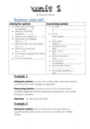 English Worksheet: Expressing Opinion