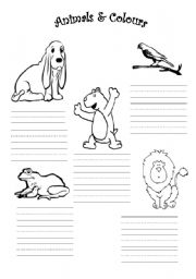 English worksheet: Animals