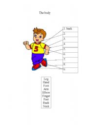 English worksheet: the body