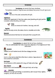 vertebrates / invertebrates