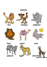 English Worksheet: Animals