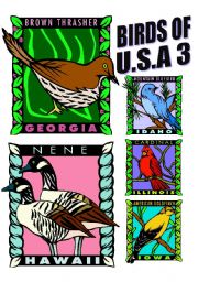 English worksheet: BIRDS OF U.S.A. THREE.