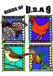 English Worksheet: BIRDS OF U.S.A. NINE.