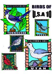 English Worksheet: BIRDS OF U.S.A. TEN.