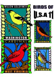 English Worksheet: BIRDS OF U.S.A. ELEVEN.