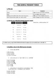 English worksheet: Grammar Guide - Present Simple
