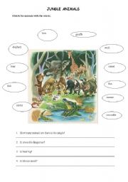 English Worksheet: jungle animals