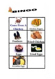 English worksheet: bingo 3 products come from a chicken 