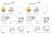 English worksheet: PRACTICE ANIMAL