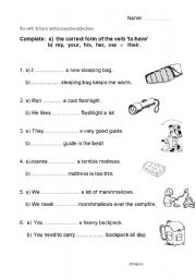English Worksheet: to have + possessive adjectives on School Trip theme