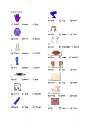 English Worksheet: body parts 