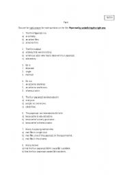English worksheet: Test on the film Papparazzi