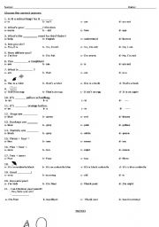 English worksheet: multiple choice activity and reading