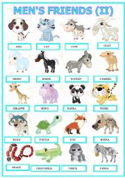 English Worksheet: Animals  :  Mens Friends  ( III )  