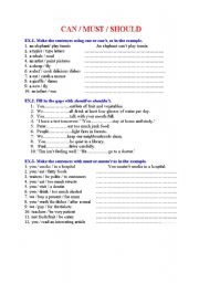 English Worksheet: CAN / SHOULD / MUST - exercises on modal verbs