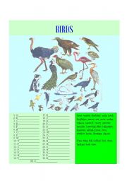 English Worksheet: 25 most common BIRDS